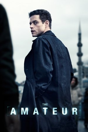 Аматор